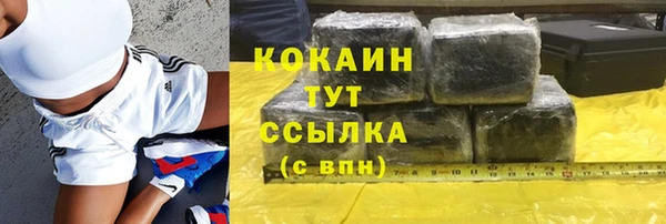 ГАЛЛЮЦИНОГЕННЫЕ ГРИБЫ Вяземский