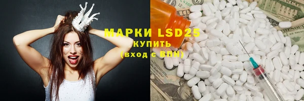 ГАЛЛЮЦИНОГЕННЫЕ ГРИБЫ Вяземский