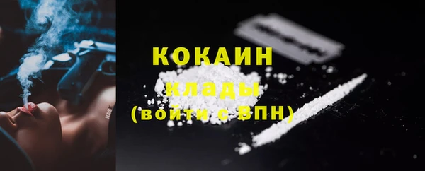 ГАЛЛЮЦИНОГЕННЫЕ ГРИБЫ Вяземский