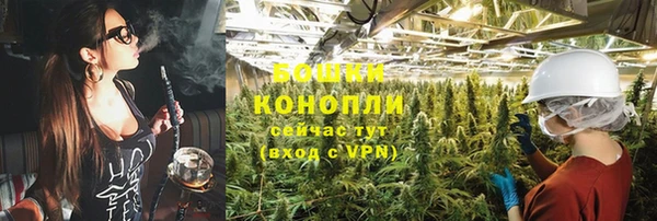 ГАЛЛЮЦИНОГЕННЫЕ ГРИБЫ Вяземский