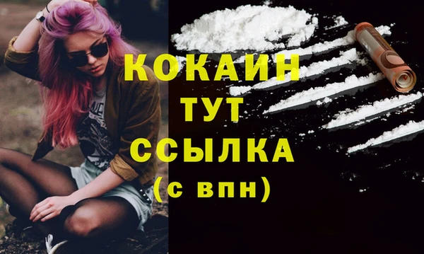 ГАЛЛЮЦИНОГЕННЫЕ ГРИБЫ Вяземский