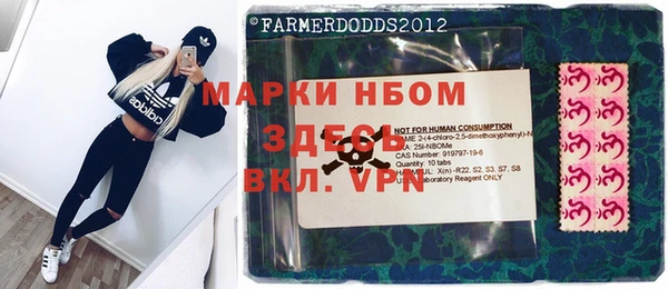 ГАЛЛЮЦИНОГЕННЫЕ ГРИБЫ Вяземский