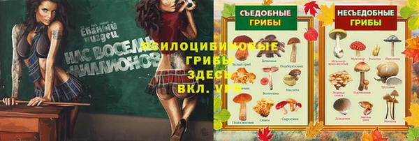 ГАЛЛЮЦИНОГЕННЫЕ ГРИБЫ Вяземский