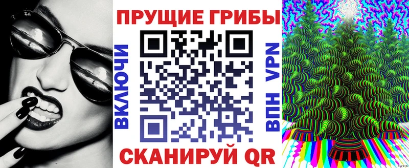 купить  сайты  Кущёвская  Псилоцибиновые грибы ЛСД 